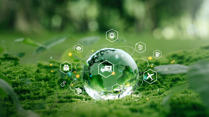 The Role of Warehouse Technology in Sustainable Distribution